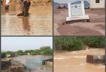 كارثة مفاجئة تضرب ريف المخا .. سيول جارفة تخلف ضحايا وأضرار واسعة في النجيبة