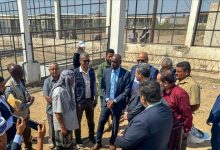 محافظ لحج الحالمي ووكيل وزارة الزراعة ووفد من منظمة الاغذية والزراعة الفاو يطلعون على مشاريع تنموية زراعية بالمحافظة