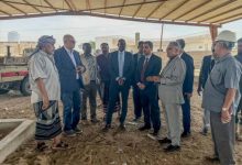 محافظ لحج ووفد أممي يطَّلعان على مشاريع زراعية تنموية في الحوطة وتبن