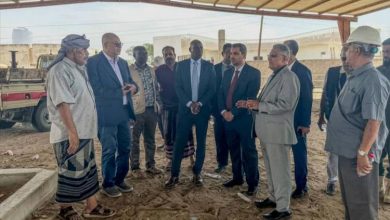 محافظ لحج ووفد أممي يطَّلعان على مشاريع زراعية تنموية في الحوطة وتبن