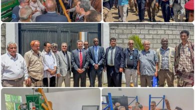 محافظ لحج يتفقد مشروع إعادة تأهيل مركز بحوث الثروة الحيوانية ويطلع على مشاريع زراعية بالحوطة وتبن