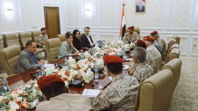 نائب رئيس الأركان يناقش مع خبيرة دولية ملف تجنيد الأطفال وانتهاكات مليشيات الحوثي الارهابية