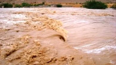 وحدة إدارة الأزمات والكوارث بالمهرة تحذر المواطنين من مخاطر عبور الأودية ومجاري السيول