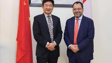 وزير الكهرباء يؤكد أهمية الشراكة مع الصين لتطوير البنية التحتية للطاقة