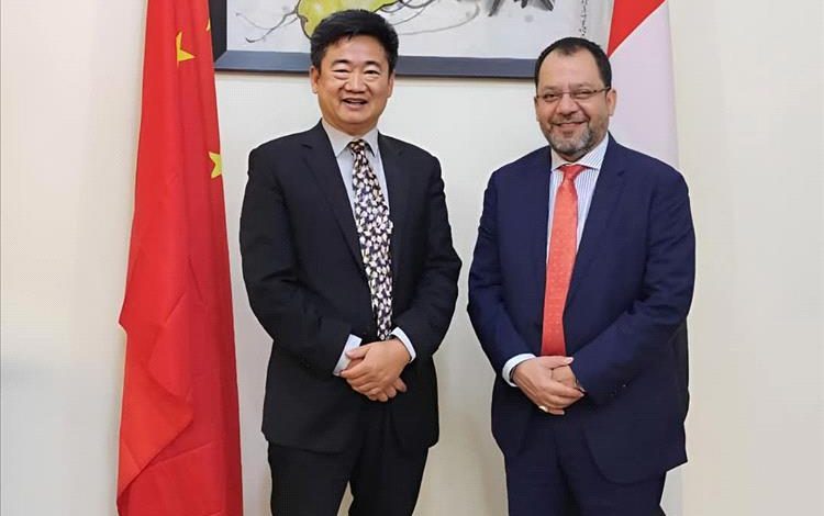 وزير الكهرباء يؤكد أهمية الشراكة مع الصين لتطوير البنية التحتية للطاقة