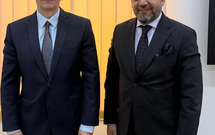 وزير الكهرباء يبحث مع السفير الألماني تعزيز التعاون في قطاع الطاقة