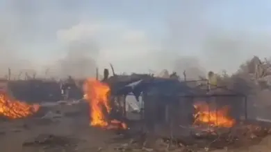 أمن أبين يفكك شبكات تهريب المهاجرين ويضبط 25 مهربًا ويدمّر معسكراتهم