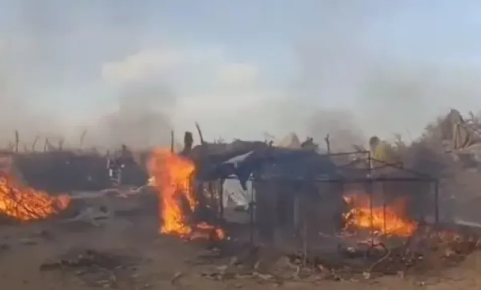 أمن أبين يفكك شبكات تهريب المهاجرين ويضبط 25 مهربًا ويدمّر معسكراتهم