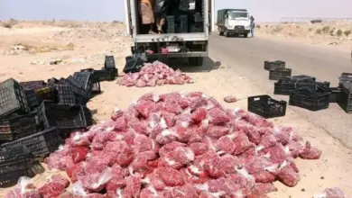 إتلاف 1.5 طن فراولة سامة في عدن.. والمصير النهائي سيرفراً الناس!