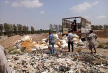 إتلاف ( 6 ) أطنان من الفول السوداني غير صالحة للإستهلاك الآدمي في مديرية المنصورة بعدن