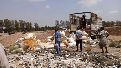 إتلاف ( 6 ) أطنان من الفول السوداني غير صالحة للإستهلاك الآدمي في مديرية المنصورة بعدن