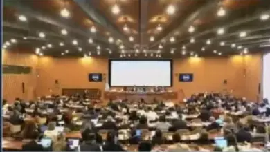 اليونسكو تقر خطة لدعم اليمن بـ 48 مليون دولار في قطاعات التراث والتعليم والإعلام