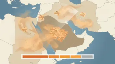 تسجيل 26 حالة نشاط غباري بالإقليم في يوم واحد بينها 15 في السعودية