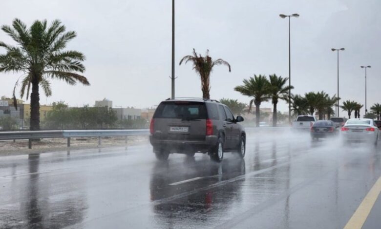 سماء المدينة المنورة تتزين بالغيوم.. أمطار متفرقة تبشر بالخير