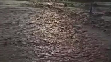 سيول أبين تعود لمسارات تاريخية بعد أمطار غزيرة.. ذكريات 1982 تتجدد