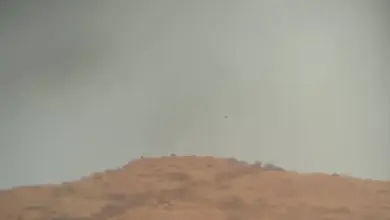 عملية نوعية لقوات الجيش في تعز ومقتل وإصابة عدد من الحوثيين