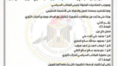 فادي باعوم يصدر قراراً بفصل أربعة من أعضاء المكتب السياسي للحراك الثوري