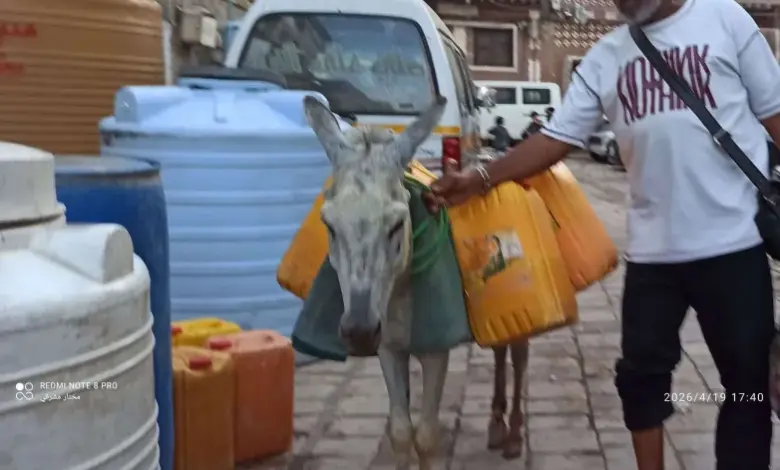 كارثة المياه: ”إيجار الحمار” يرتفع والمواطن يبحث عن قطرة ماء بعدن!