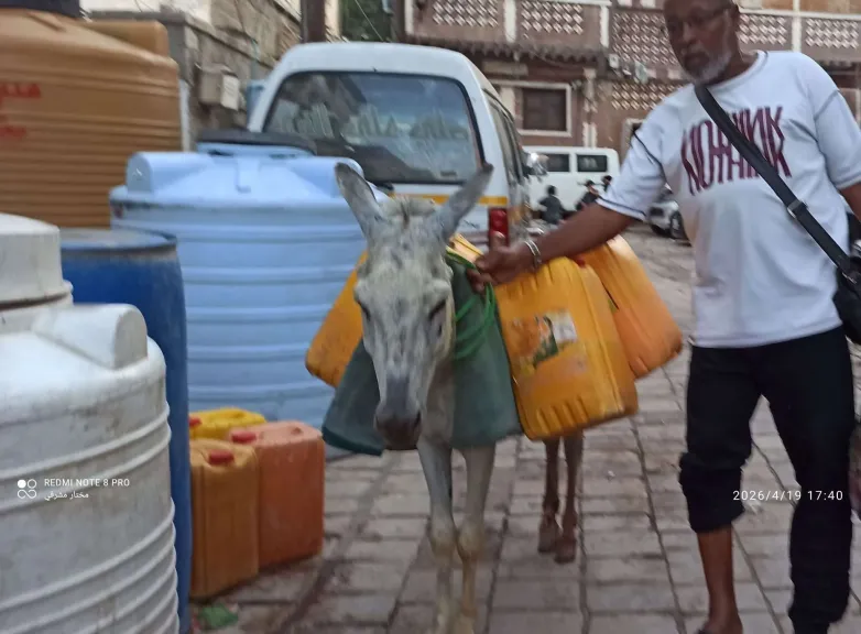 كارثة المياه: ”إيجار الحمار” يرتفع والمواطن يبحث عن قطرة ماء بعدن!