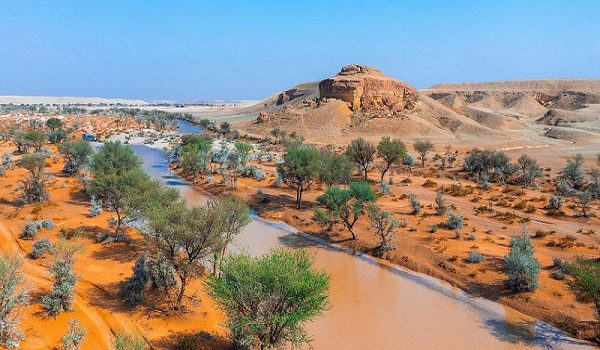 محمية الملك عبدالعزيز.. «كنز بيئي» في قلب المملكة