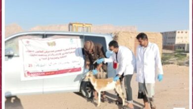 مدير عام حبان يشيد بالحملة البيطرية الشاملة لتحصين الثروة الحيوانية بالمديرية