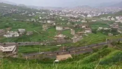 مقتل وإصابة شقيقين برصاص أحد أقاربهما بسبب خلاف على قطعة أرض