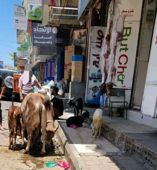 هذا ما يفعله تجار اللحوم في شوارعنا.. استغاثة أهالي تعز تفضح تقاعس الجهات الرقابية.