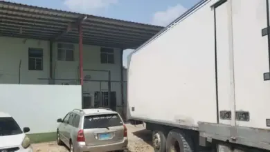 الشحنة
