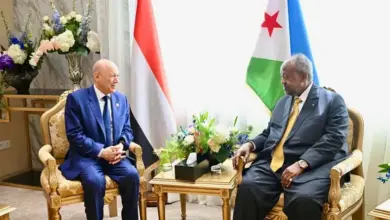 الرئيس العليمي يبحث مع نظيره الجيبوتي أمن البحر الأحمر وباب المندب وتفعيل اللجنة المشتركة