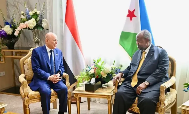الرئيس العليمي يبحث مع نظيره الجيبوتي أمن البحر الأحمر وباب المندب وتفعيل اللجنة المشتركة