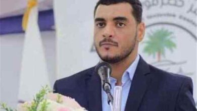 العامري: توحيد القرار العسكري مفتاح استقرار اليمن