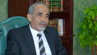 الفريق محمود الصبيحي: الدولة ستتولى حماية التظاهرات في ساحة العروض وستقوم بتأمينها