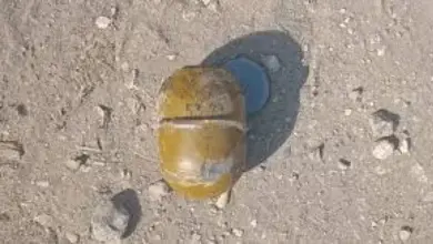 بتر ساق طفل وإصابته بجروح خطيرة في انفجار صاعق حربي بالضالع