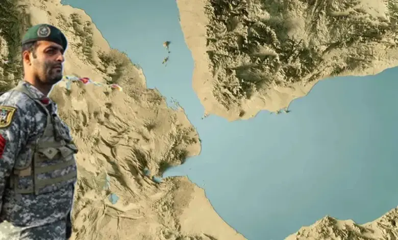 ارشيفية