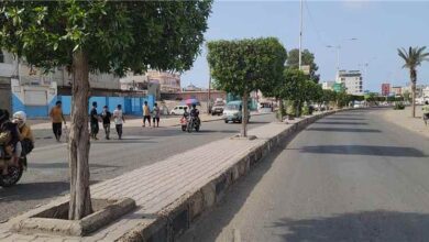 تنفيذ حملة غرس شتلات جديدة وتشذيب الأشجار في الشوارع العامة بمديرية البريقة