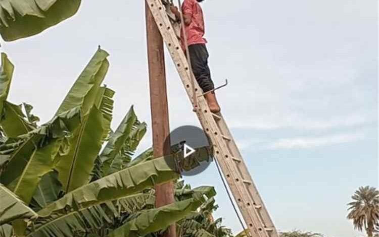 جهود متواصلة لكهرباء أبين في صيانة الشبكة وتحسين الخدمة بالمناطق المستهدفة