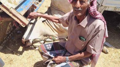 حملات ميدانية مكثفة لصحة البيئة بعتق لمراقبة الأضاحي وضمان سلامة اللحوم في أول أيام العيد