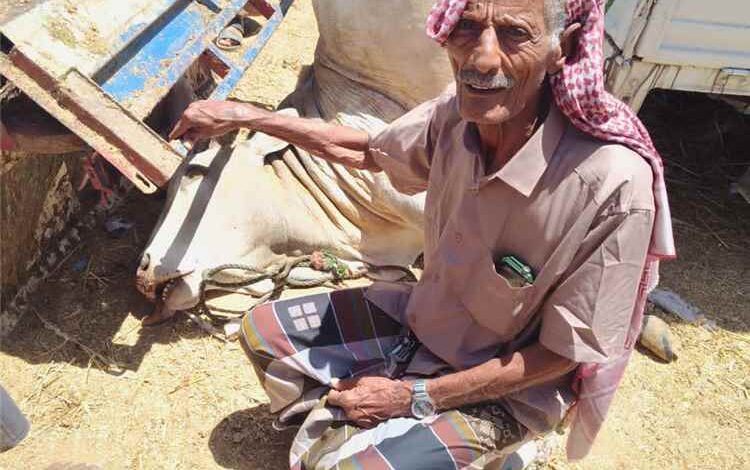 حملات ميدانية مكثفة لصحة البيئة بعتق لمراقبة الأضاحي وضمان سلامة اللحوم في أول أيام العيد