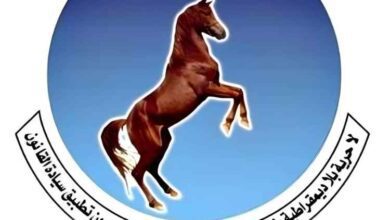 دينا عبدالباري تنفي صلتها بتأييد ببيان "استعادة دور المؤتمر" وتؤكد التزامها بالإطار التنظيمي للمؤتمر الجنوبي