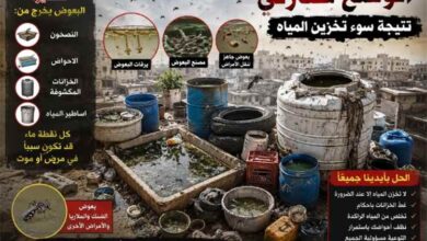 صحة الشيخ عثمان تحذر من انتشار بؤر البعوض وتدعو لإجراءات عاجلة لمواجهة الأوبئة