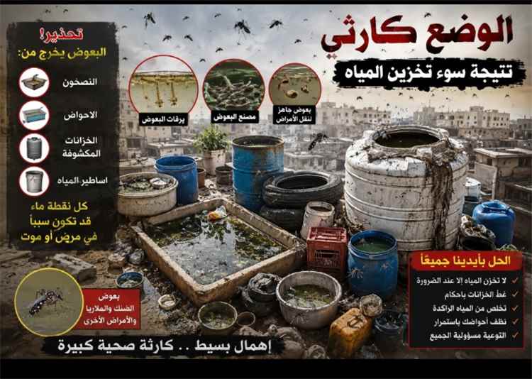 صحة الشيخ عثمان تحذر من انتشار بؤر البعوض وتدعو لإجراءات عاجلة لمواجهة الأوبئة