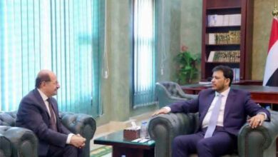 عدن: الدكتور عبدالله العليمي يلتقي رئيس مجلس الوزراء ويشيد بجهود الحكومة في مسار الإصلاحات الاقتصادية والإدارية