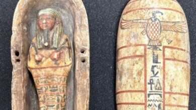 فرنسا تقر قانونًا تاريخيًا لإعادة الآثار.. دول عربية تستعد لاسترداد كنوزها المنهوبة