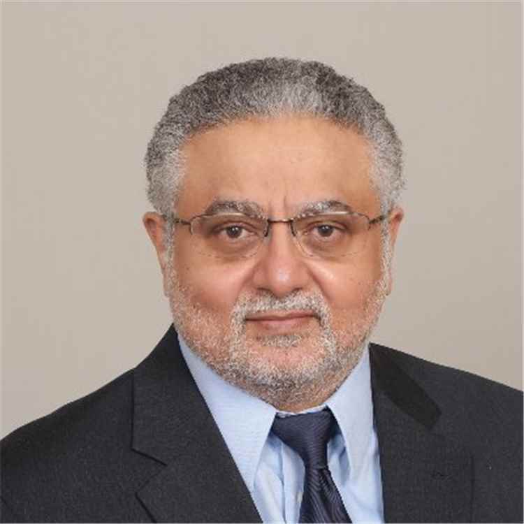 فضل بن ناصر الفضلي: هادي رفض الانفصال لأنه كان يدرك مخاطر الصراعات الداخلية