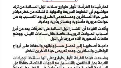 قوات الطوارئ: الإبل السائبة تتسبب بحوادث مميتة وإجراءات مرتقبة بحق المخالفين