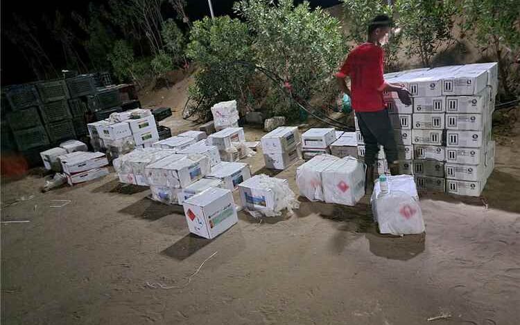 للمرة الثالثة خلال شهر.. قوات الأمن الوطني بلحج تضبط شحنة مبيدات حشرية تالفة ومهربة