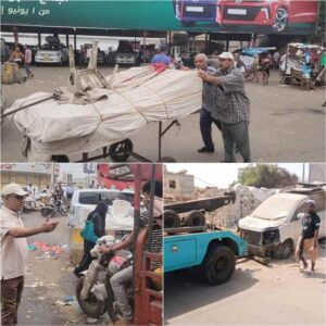مدير عام المنصورة يؤكد استمرار حملة إزالة المظاهر المشوهة للحفاظ على المنظر العام