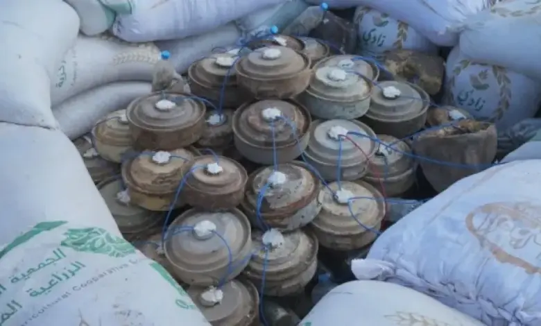 أرشيفية