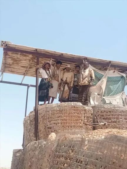 مقتل مواطن في معسكر بشبوة إثر خلاف مسلح بين أفراده