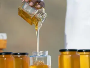 من الجبال إلى الأودية.. كيف تدعم بيئة العُلا إنتاج العسل المحلي؟